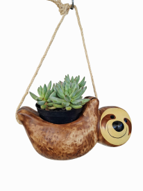 Vaso bicho preguiça e suculente