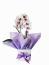 Mini orquídea bramca e pink especial