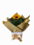 Mini girassol plantado