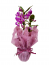 Orquídea dendobrium