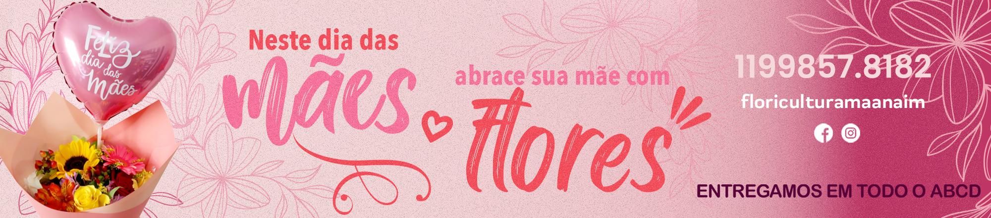 dia das mães